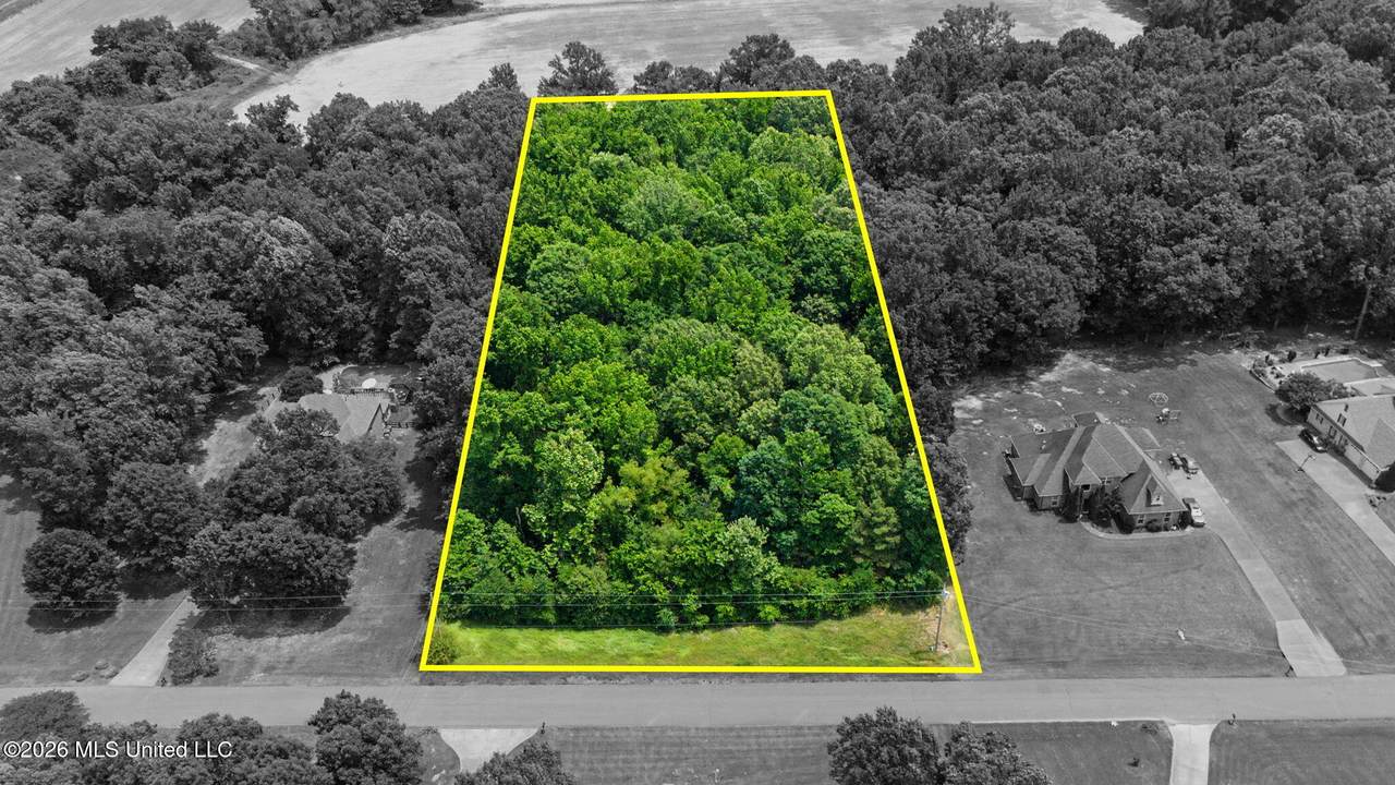 105 Crockett Loop - Photo 1