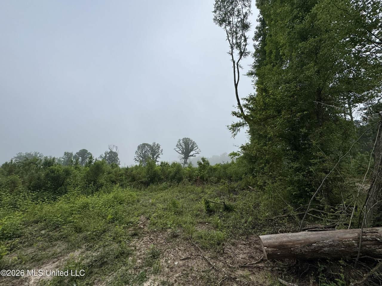 https://bt-photos.global.ssl.fastly.net/united/1280_boomver_1_4149936-2.jpg