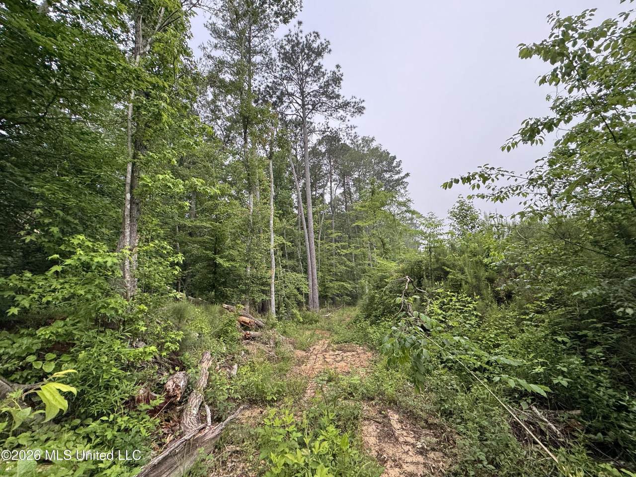 https://bt-photos.global.ssl.fastly.net/united/1280_boomver_1_4149936-2.jpg
