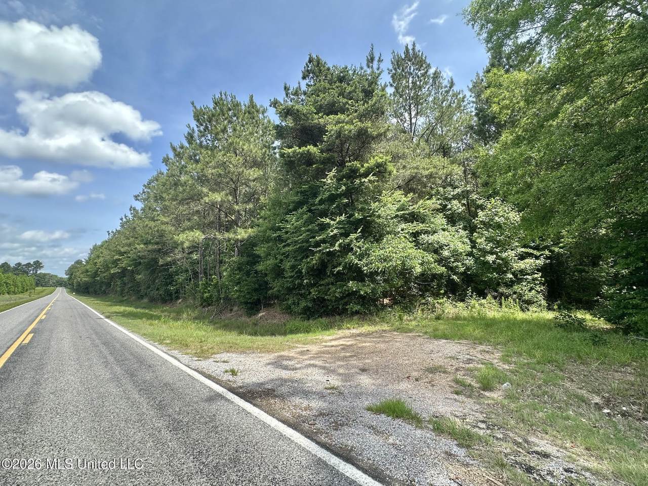 3 Highway 483 - Photo 1
