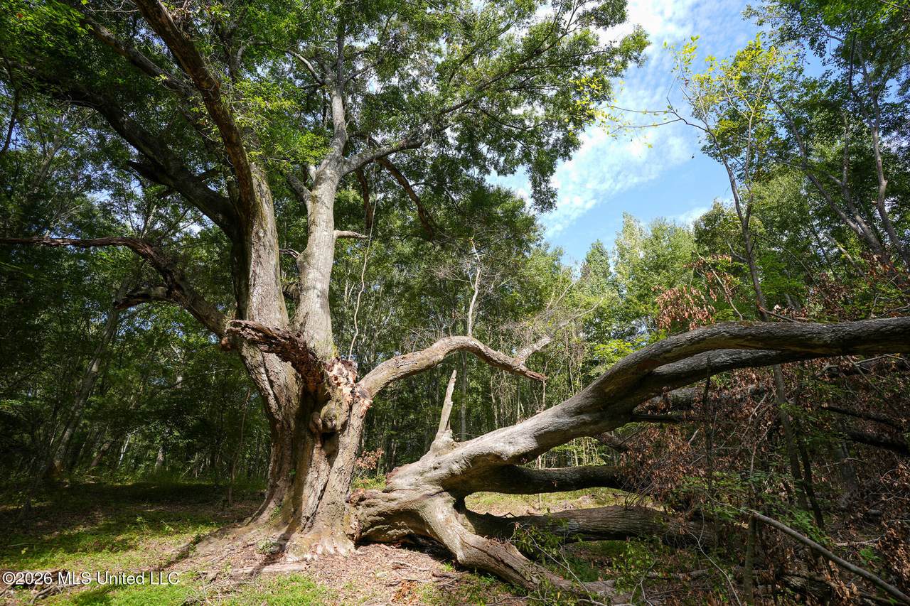 https://bt-photos.global.ssl.fastly.net/united/1280_boomver_1_4150123-2.jpg