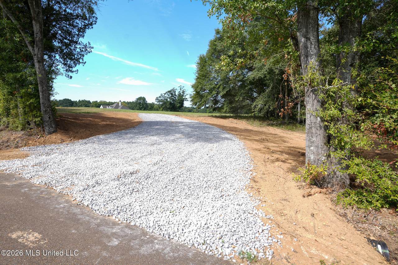  Cane Creek Road - Photo 1