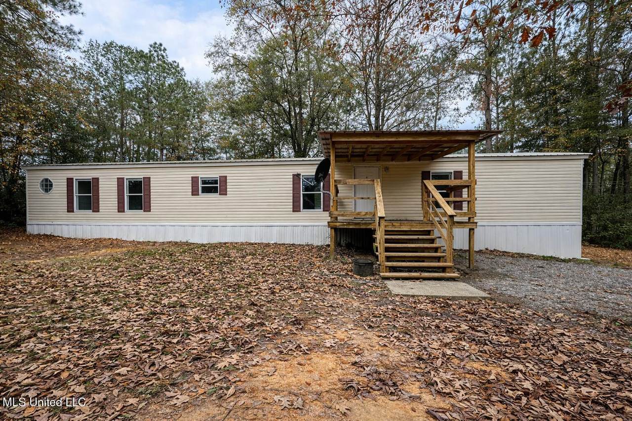 21562 Saucier Lizana Road - Photo 1