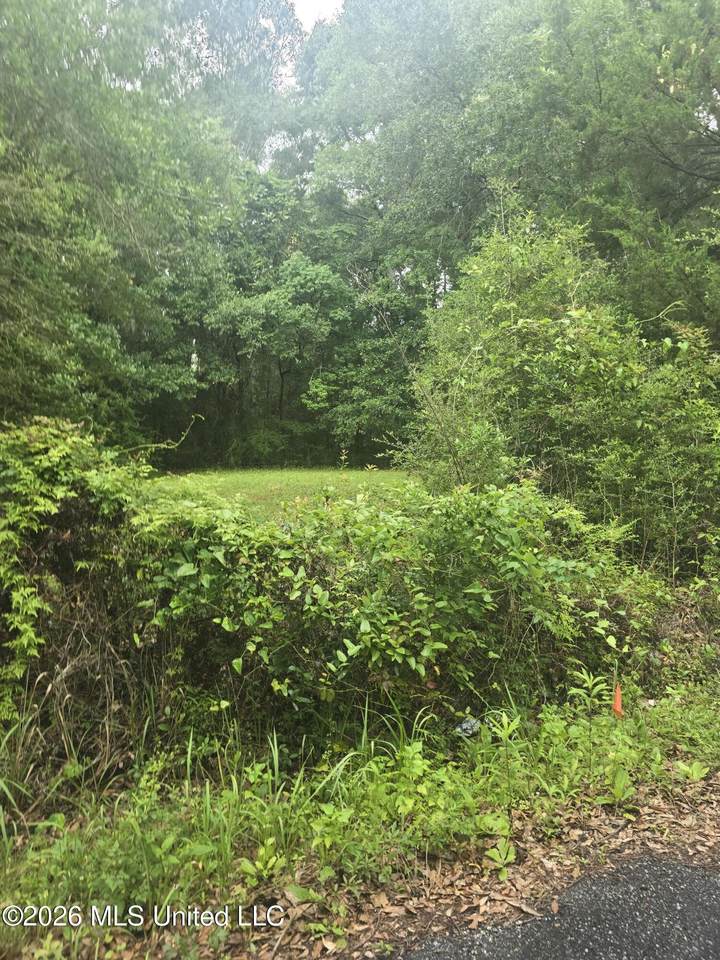 Elder Ferry Road - Photo 1