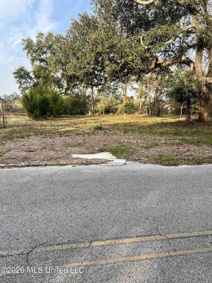 203 Livingston Drive - Photo 1