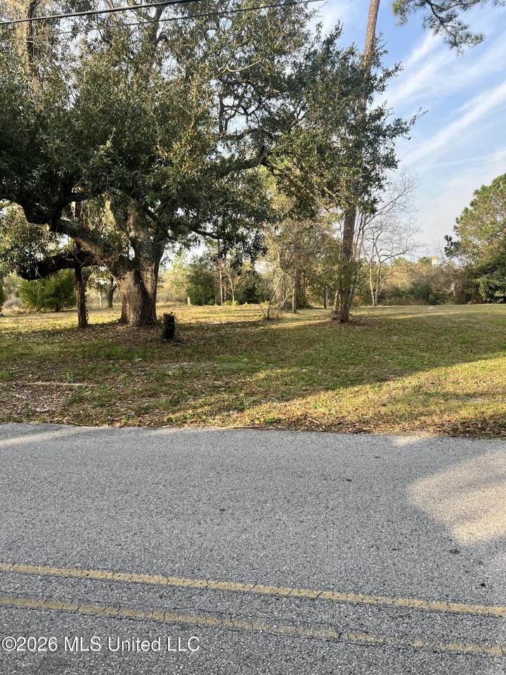 205 Livingston Drive - Photo 1