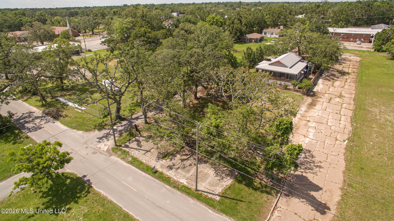 202 Palmetto Lane - Photo 1
