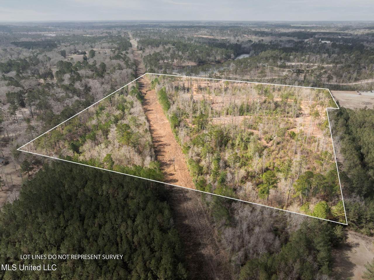 368 +/- Acres Placid Drive - Photo 1