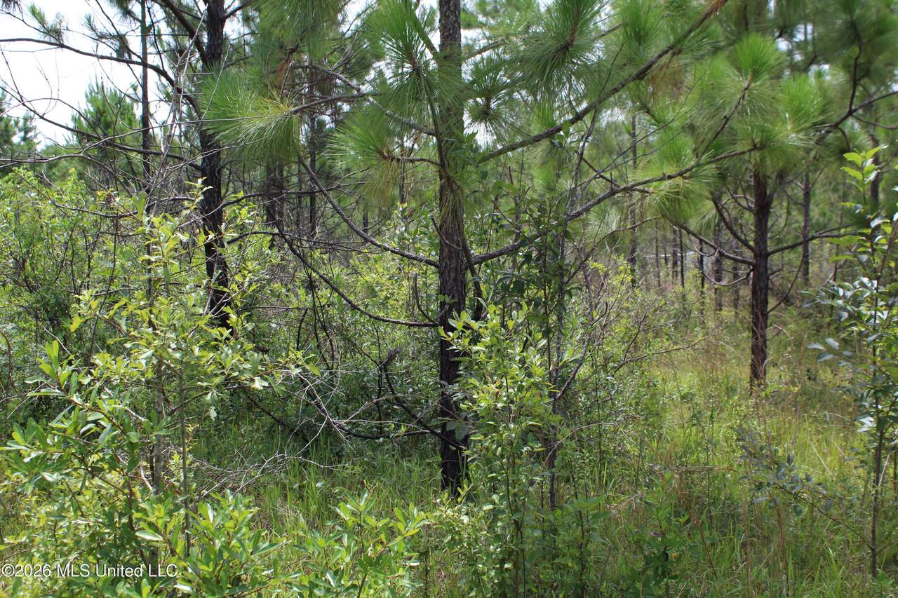  Agricola Latonia Road - Photo 1