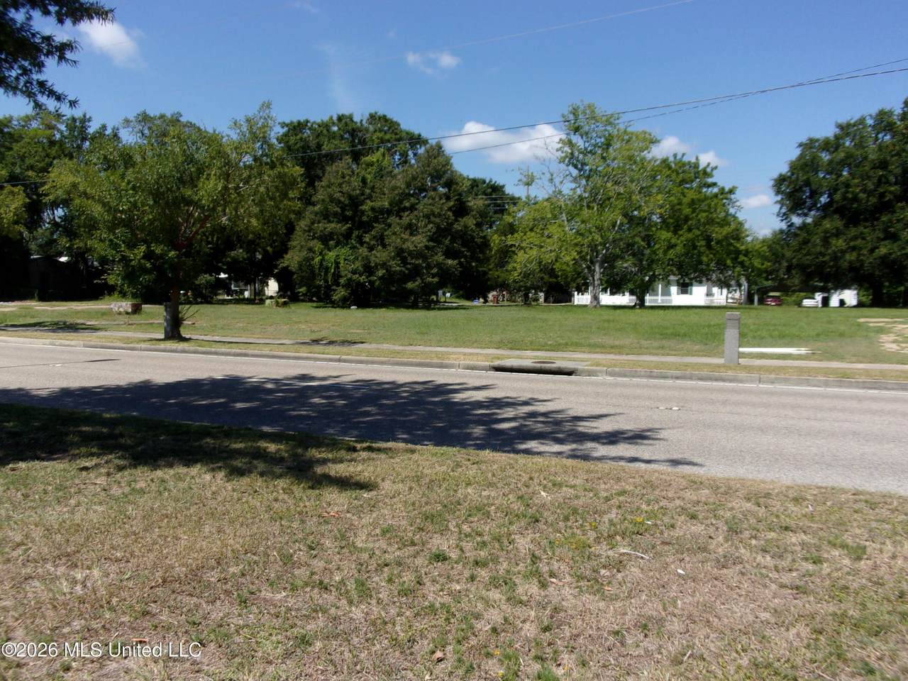 323 Caillavet Street - Photo 1