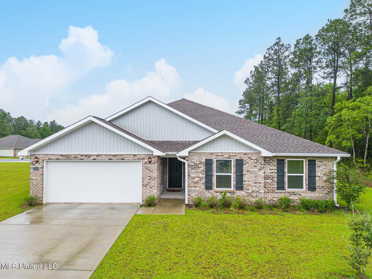 10519 Willow Leaf Drive - Photo 1