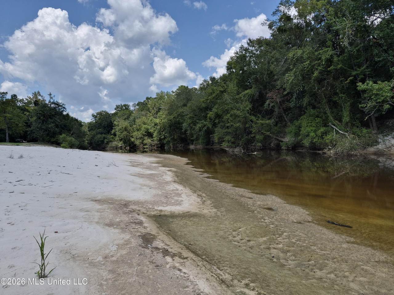 13756 River Road - Photo 1