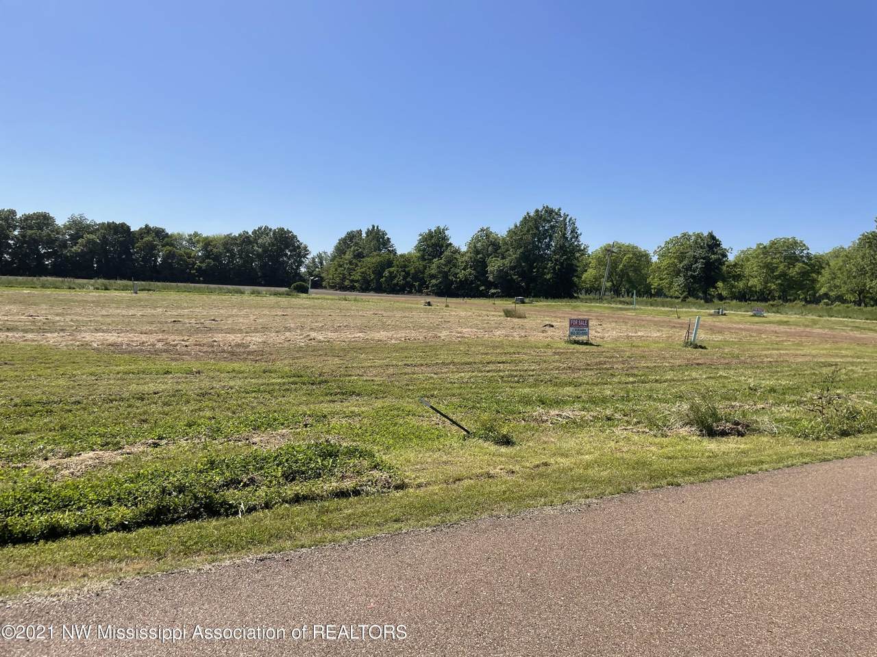 1649 Poteete Lane - Photo 1