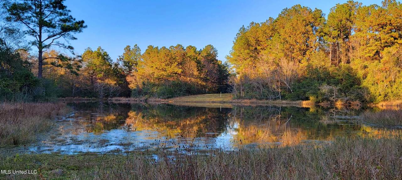 0 Crane Creek Road - Photo 1