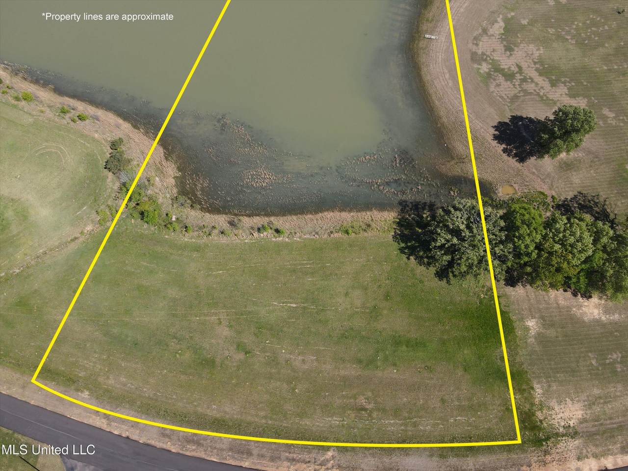 8 Como Trace Drive - Photo 1