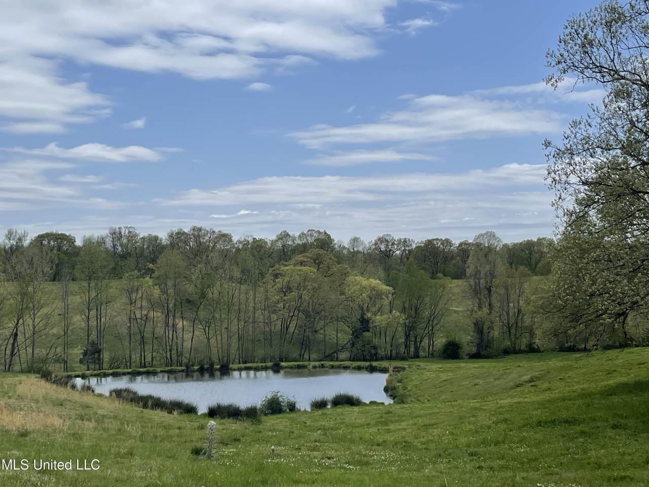 033 Evansvile Road Road - Photo 1
