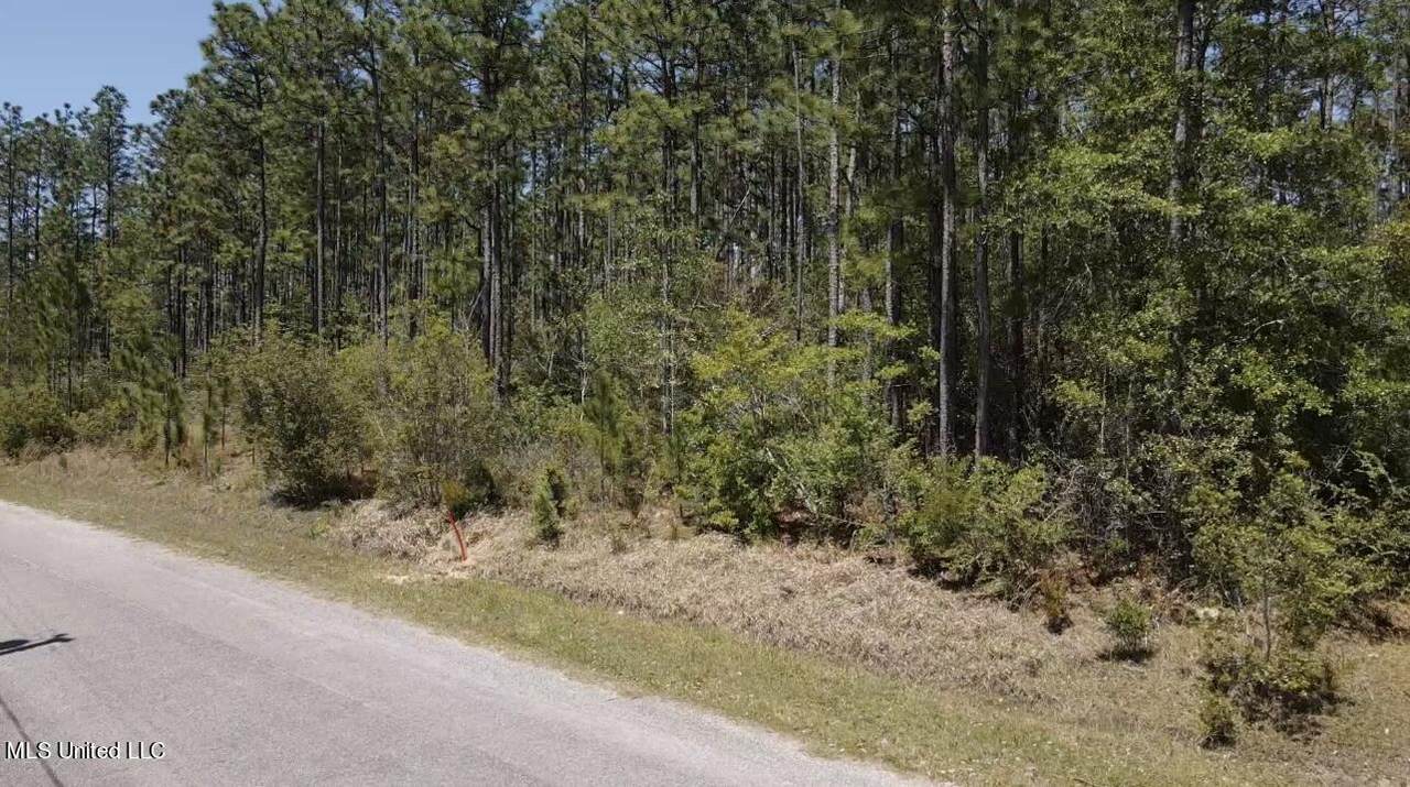 0 Wilson Drive - Photo 1