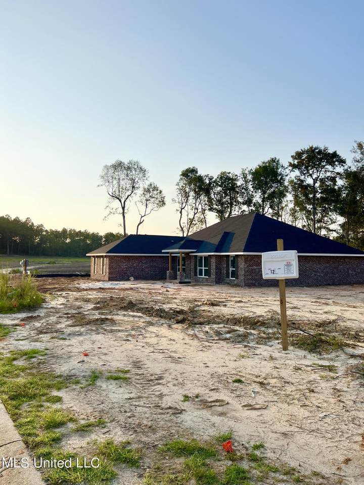 15062 White Swan Drive - Photo 1