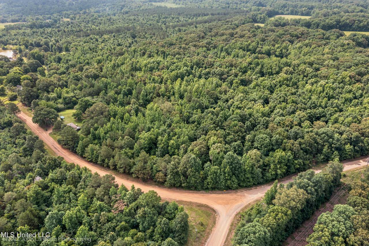 0017 Tate Panola Road - Photo 1