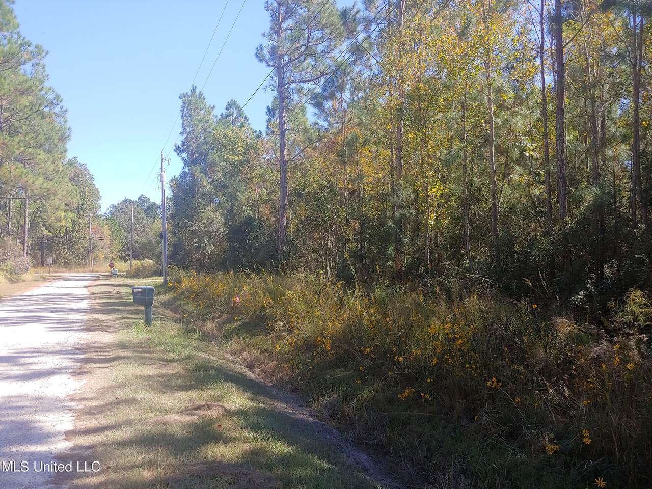 00 Madison Street - Photo 1