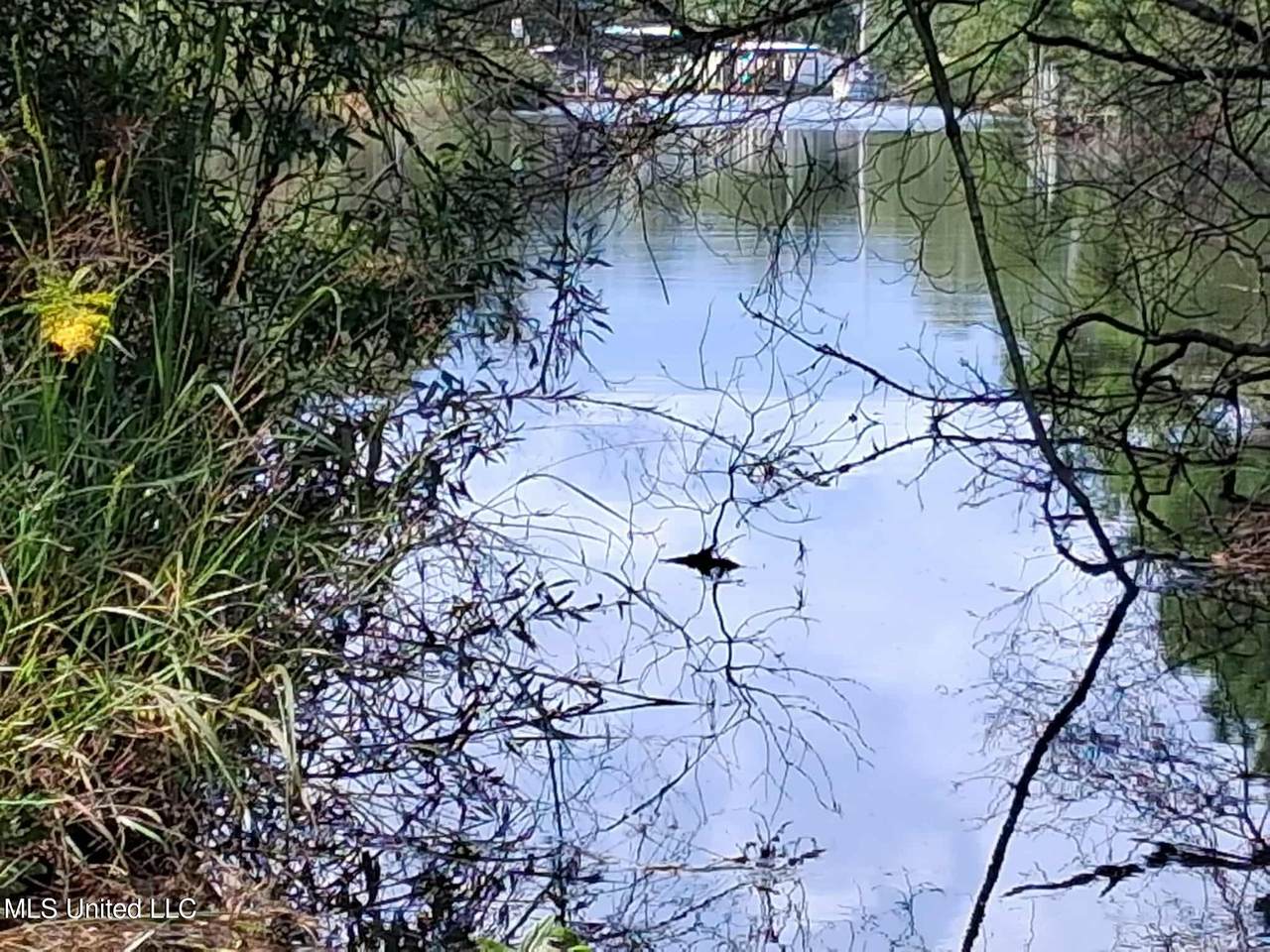 Lots 1-5 Mallard Street - Photo 1