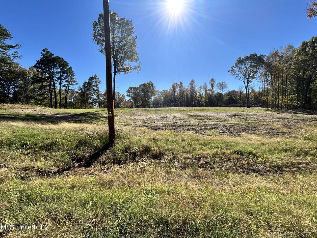 5163 Hwy 51 - Photo 1