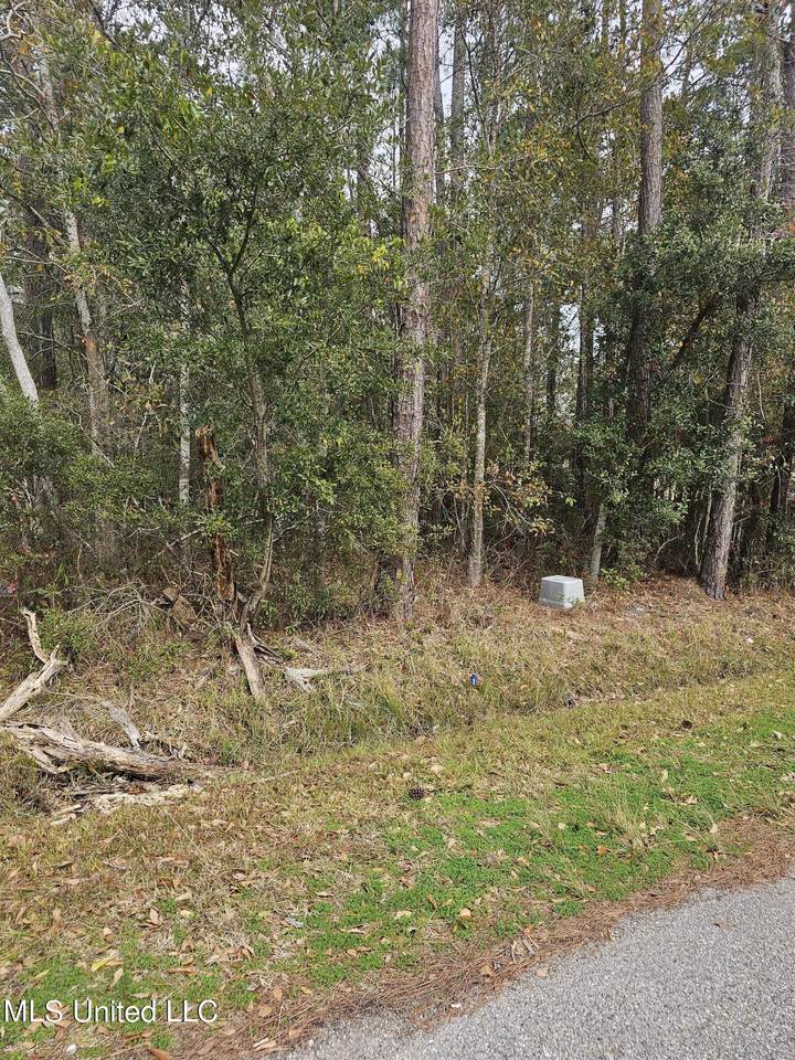  E Clay Street - Photo 1