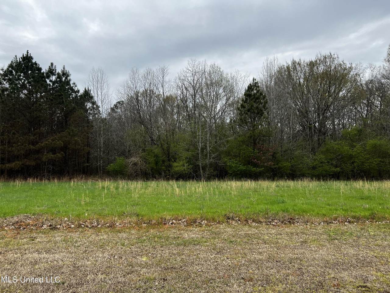 12.79 Ac Country Club Road, Senatobia, MS 38668 (MLS 4068063) The