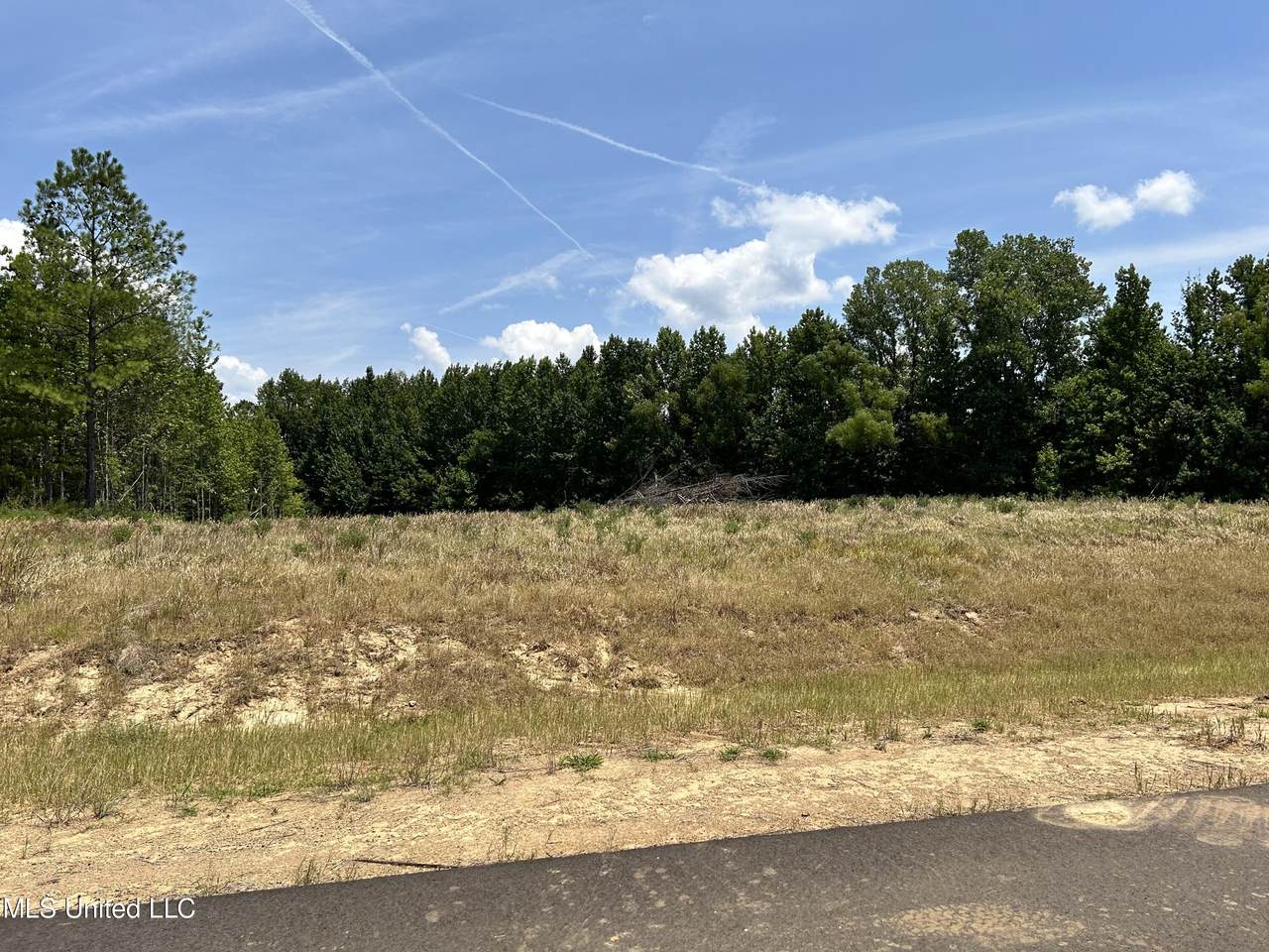 25 Riverwood Cove N - Photo 1