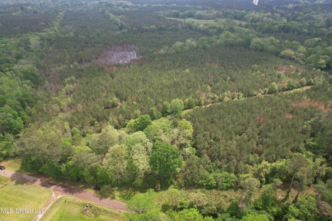 Campbell Creek Road - Photo 1