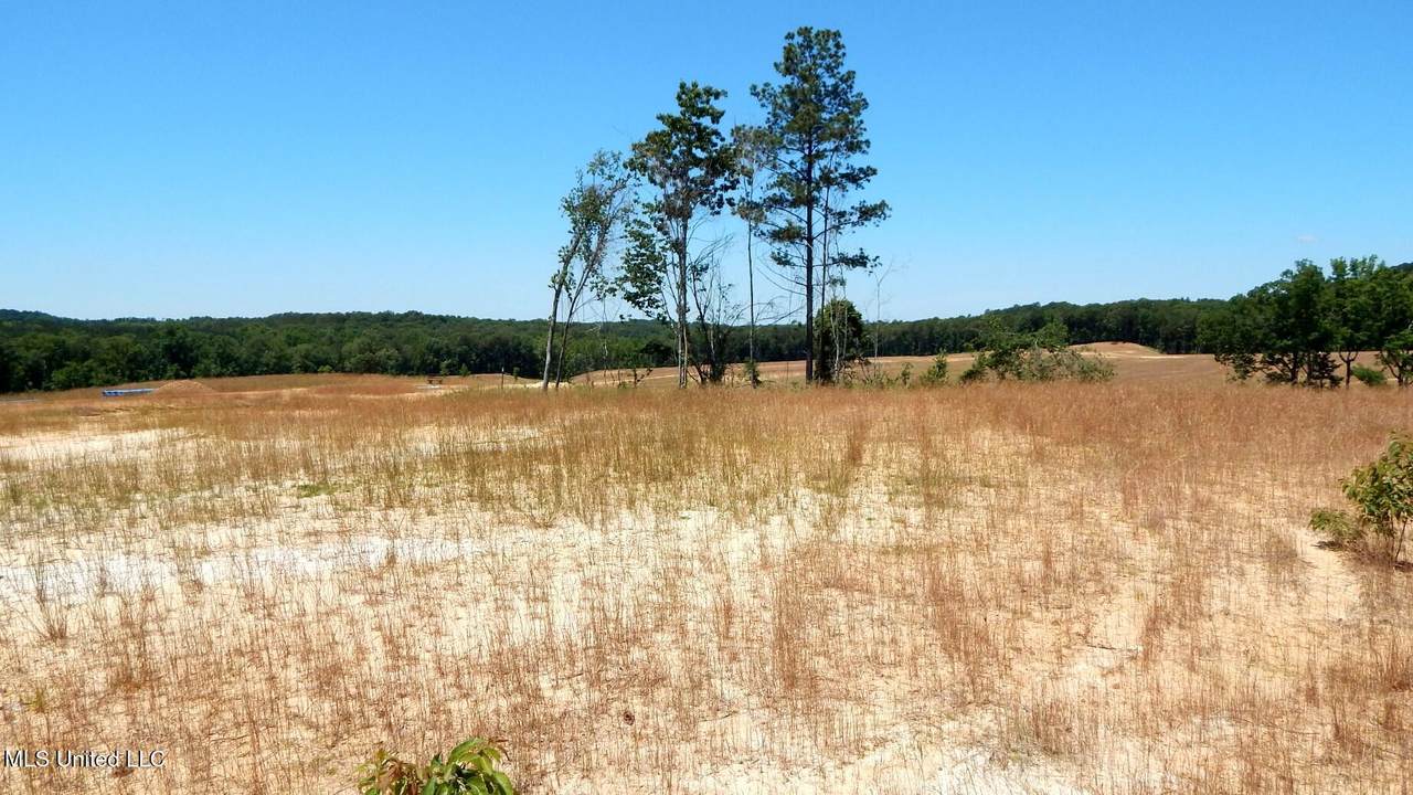 102 Hugh White State Park Road - Photo 1