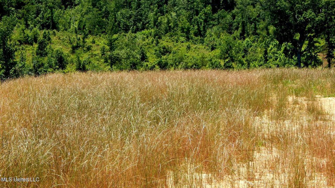 104 Hugh White State Park Road - Photo 1