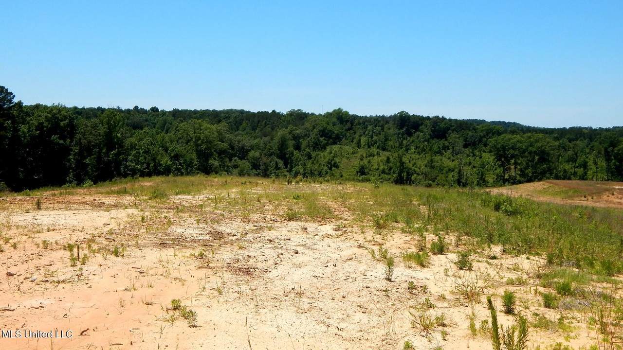 806 Hugh White State Park Road - Photo 1