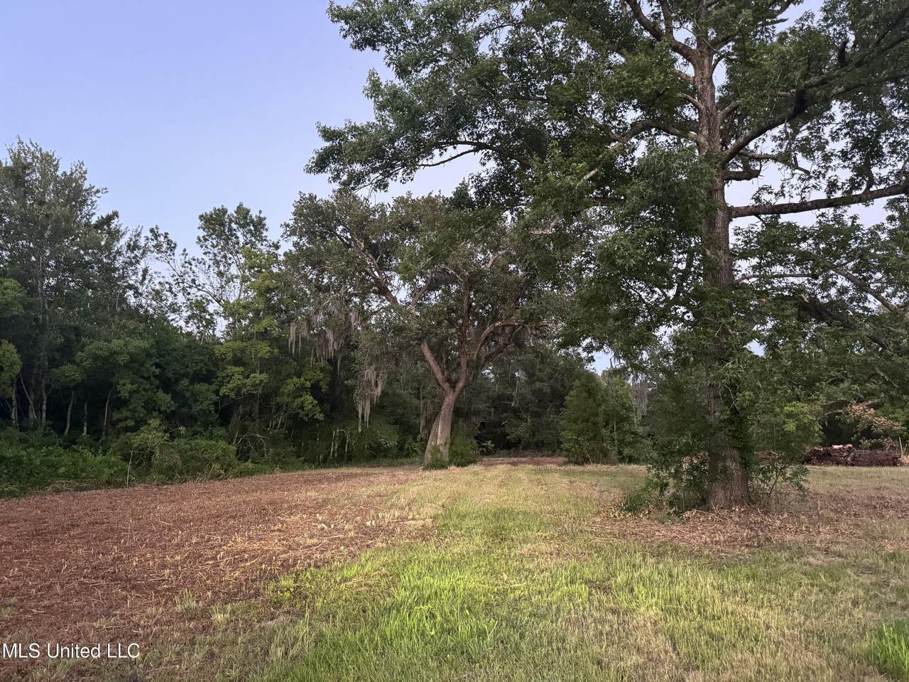 3220 Longfellow Road - Photo 1