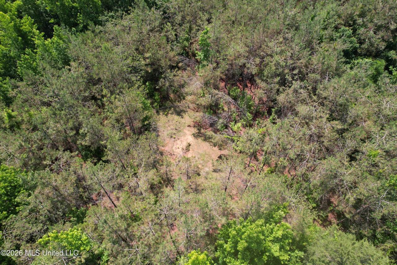  West Boulevard - Photo 1