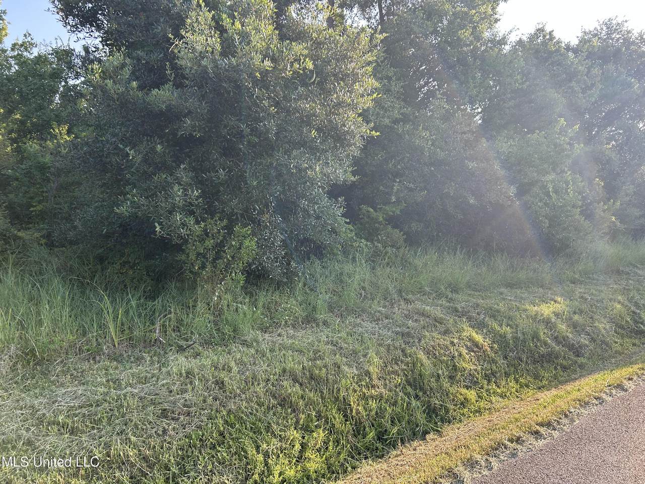 0 Jordan River Drive - Photo 1