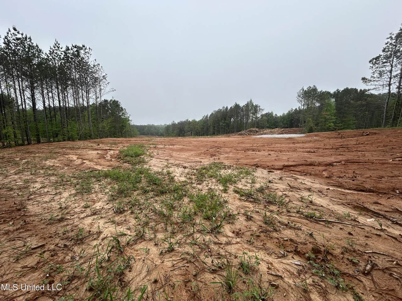 605 Cr 442 - Photo 1