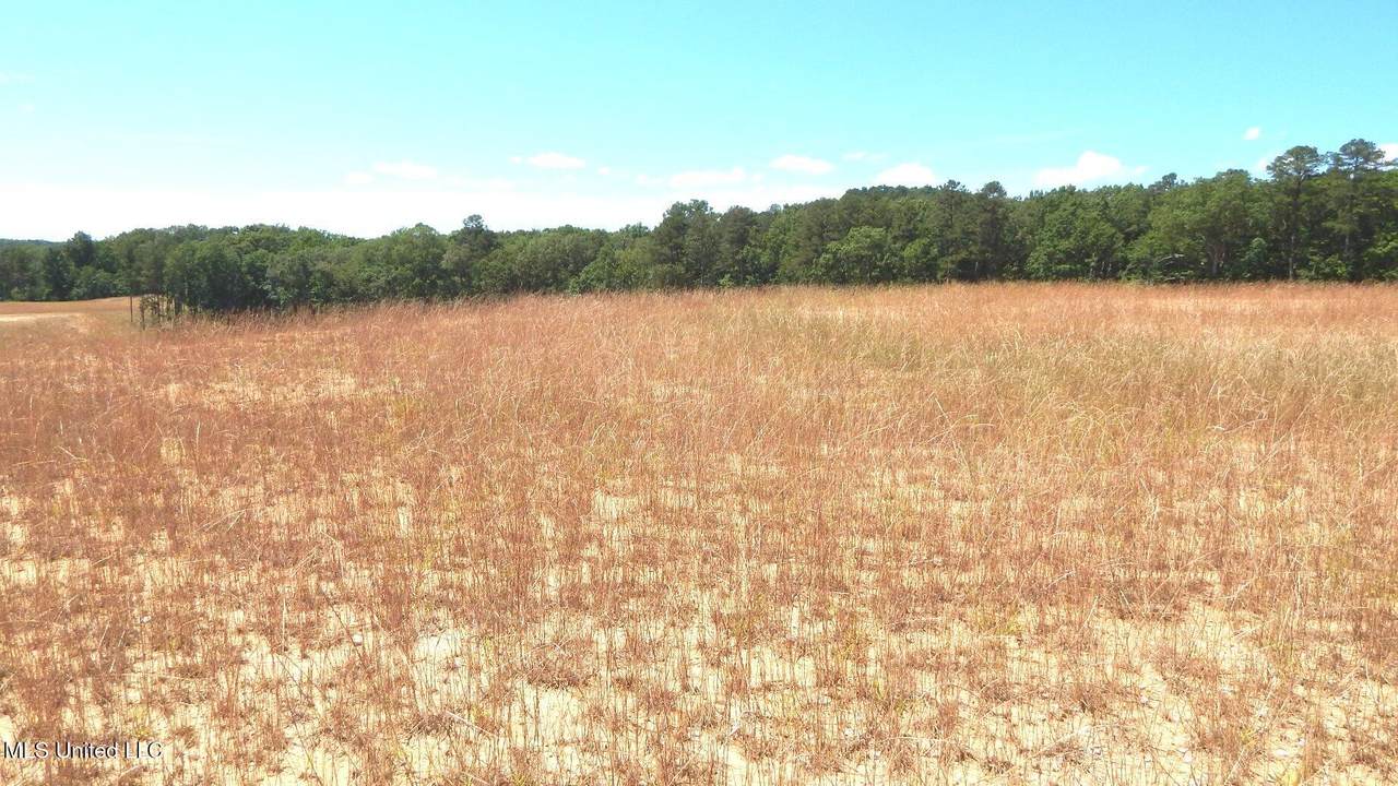 612a Hugh White State Park Road - Photo 1