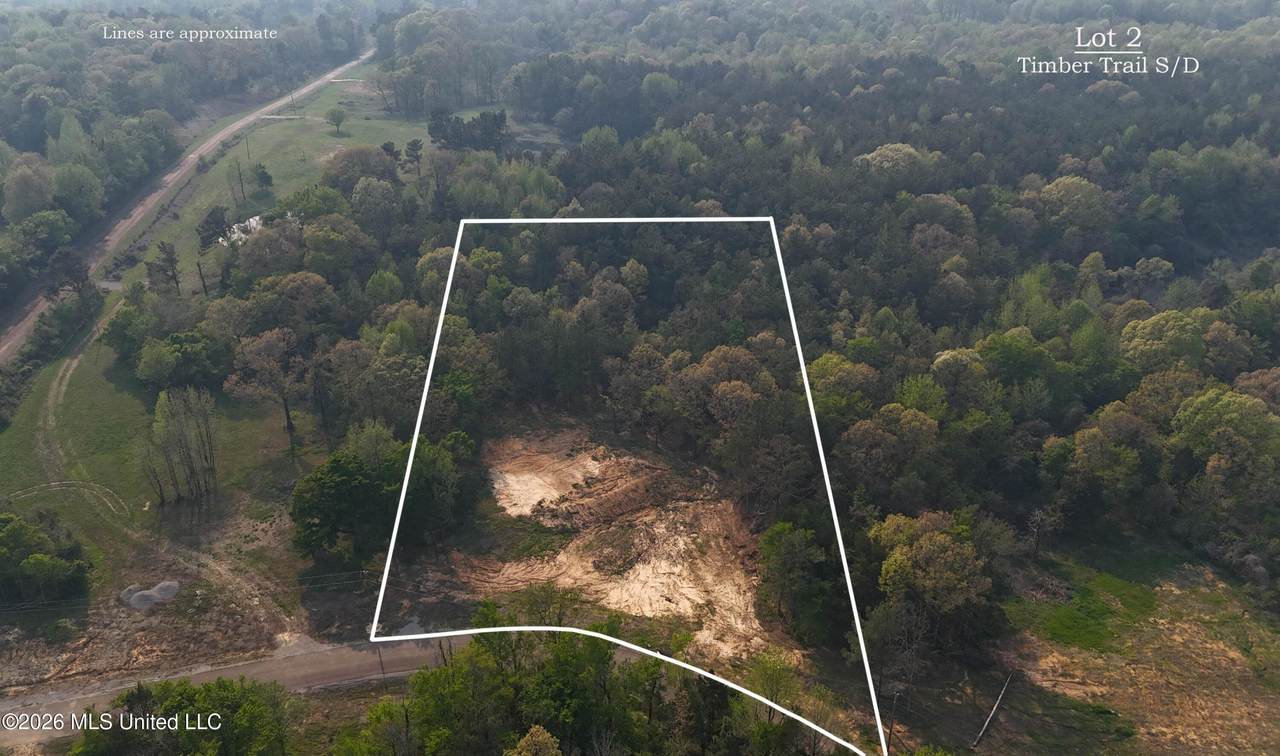 2 Tyro Branch Cove - Photo 1