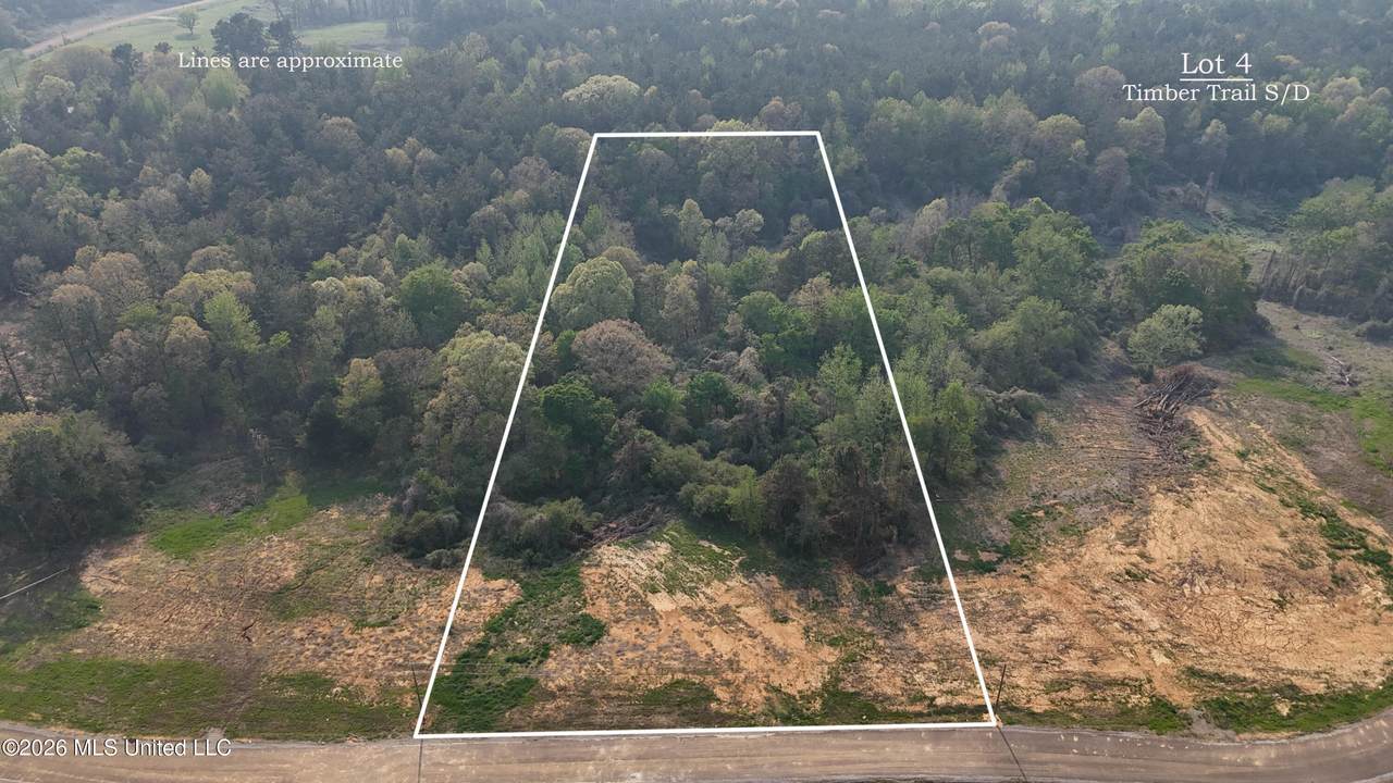 4 Tyro Branch Cove - Photo 1