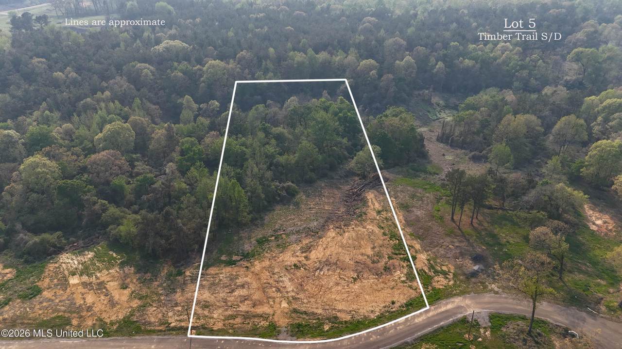 5 Tyro Branch Cove - Photo 1