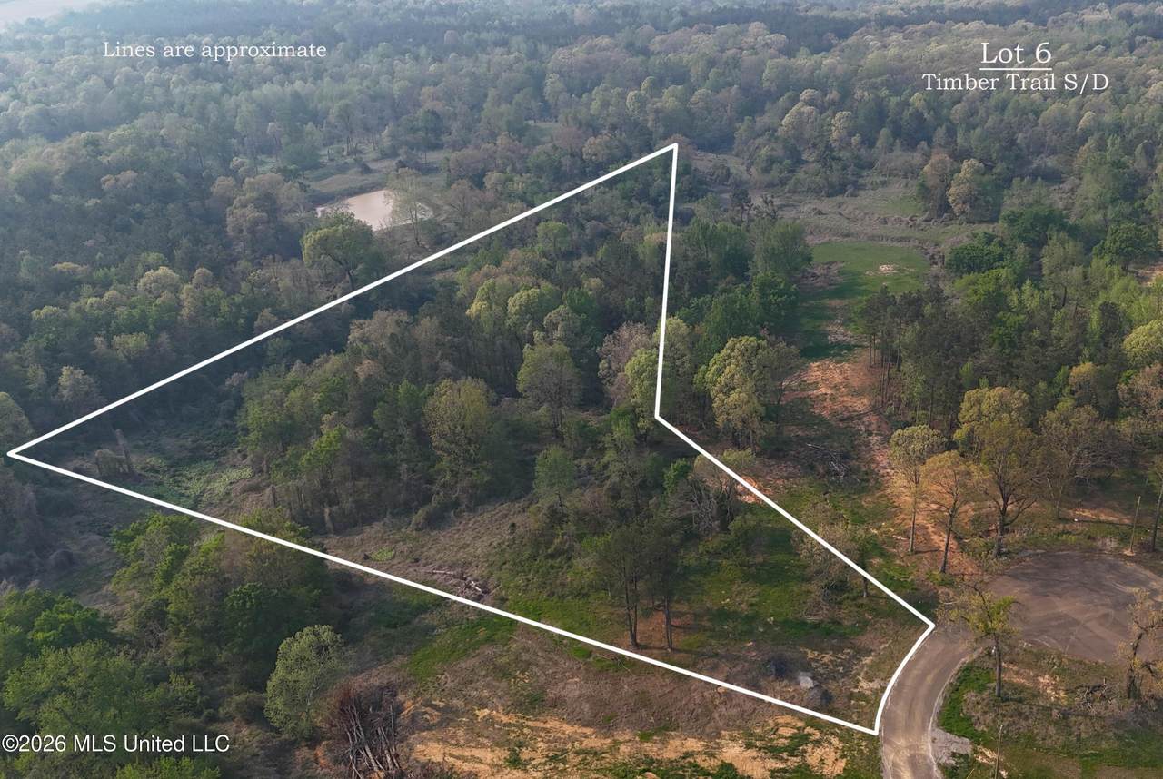 6 Tyro Branch Cove - Photo 1