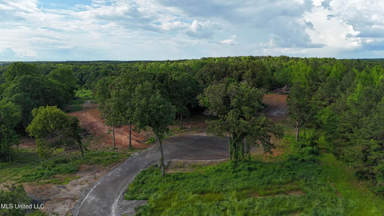 7 Tyro Branch Cove - Photo 1