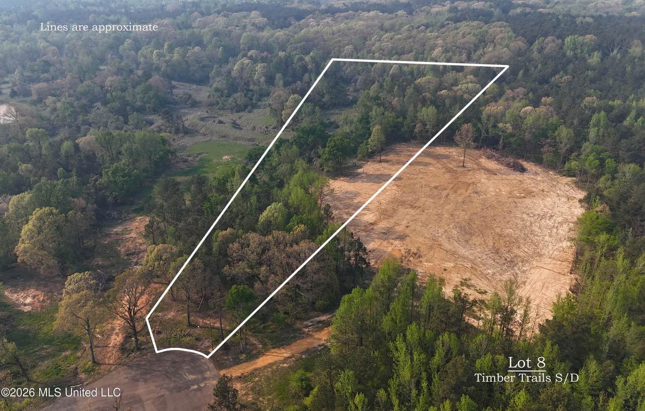 8 Tyro Branch Cove - Photo 1