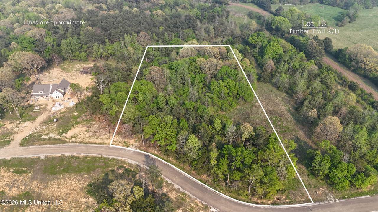 13 Tyro Branch Cove - Photo 1