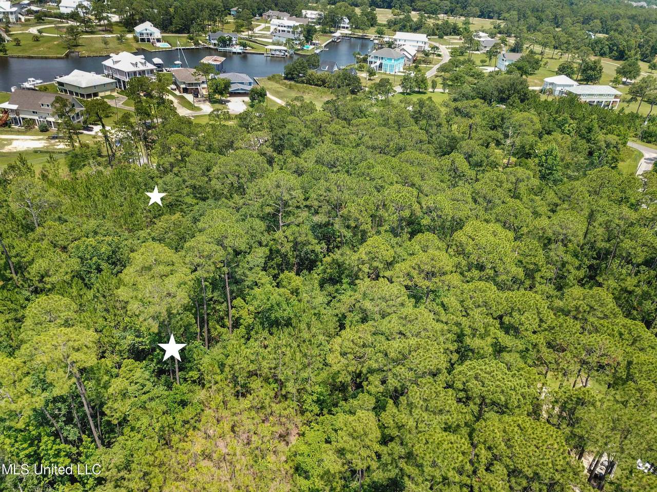 Lot 5 Poindexter Drive - Photo 1