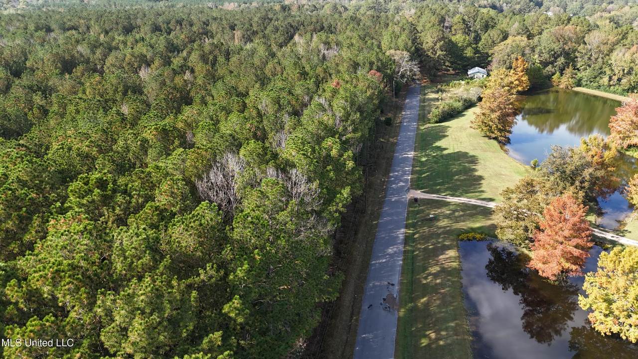 Old Pinola Braxton Rd Road - Photo 1