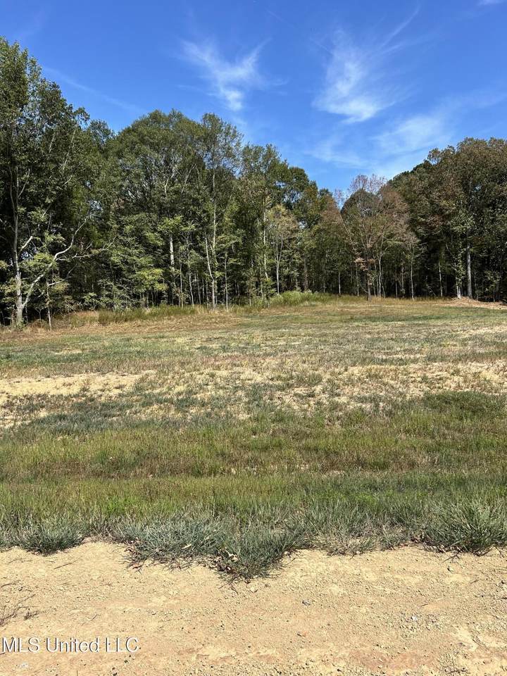 20 Pebble View Drive - Photo 1