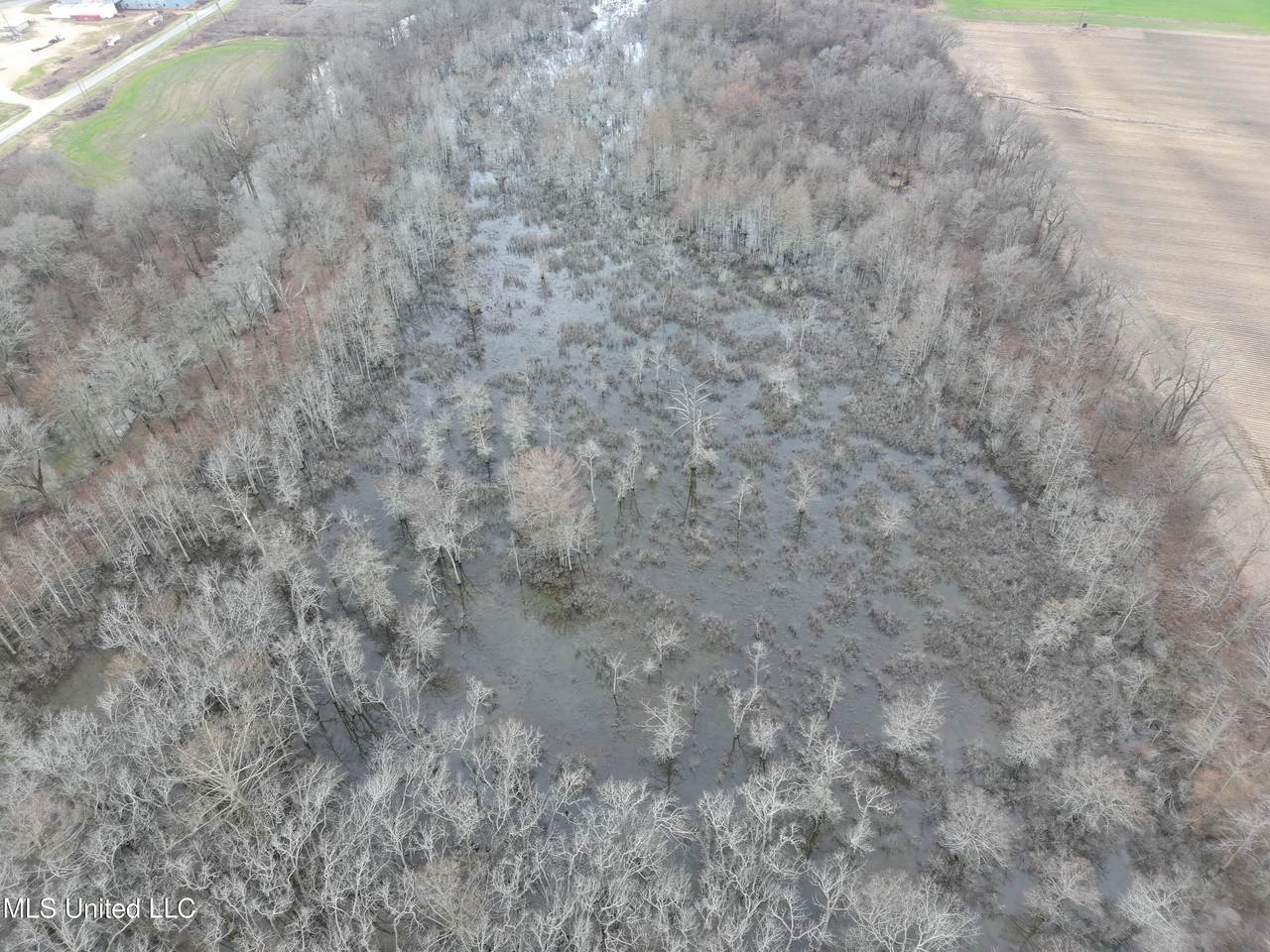  County Road 526 - Photo 1