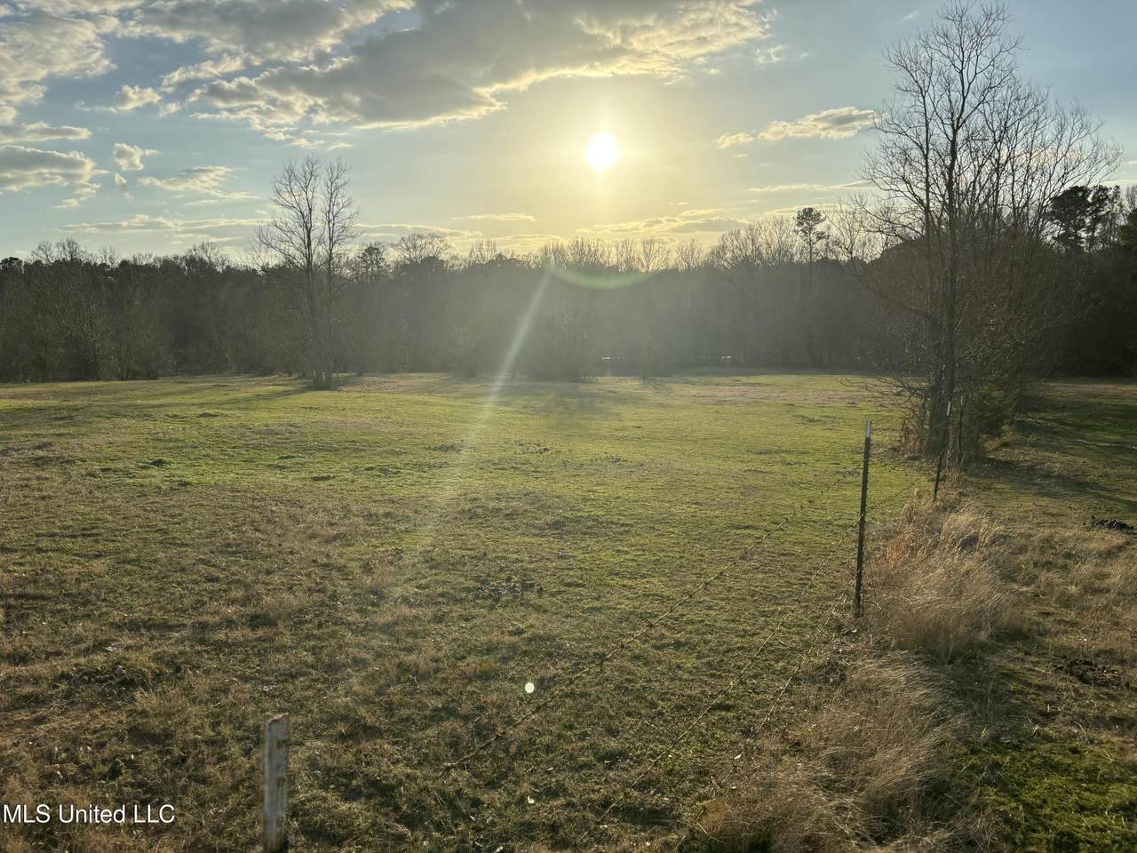 3816 Henderson Road - Photo 1